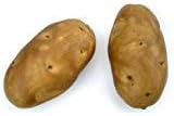 BIC Artificial Brown Potato Single Decor