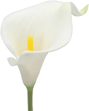 Duovlo 20pcs White Calla Lily Artificial Flower Bouquet