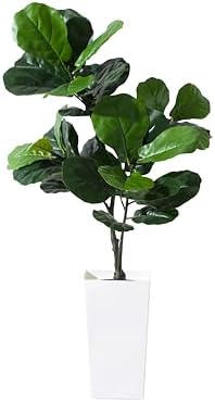 Artificial Fiddle Leaf Fig Tree 5FT Silk with White Planter