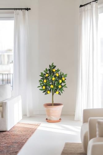 3 Ft Artificial Lemon Trees Indoor with White Ceramic Pot