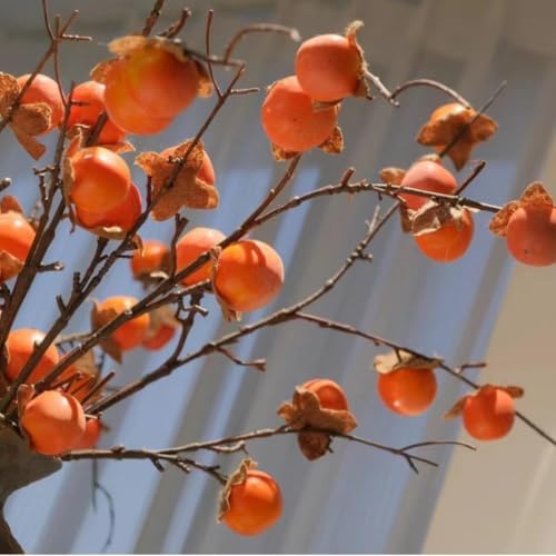 JOSON 36 Inch Artificial Persimmon Stem Set of 2 Orange 1