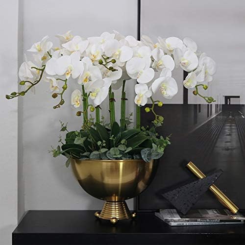 FagusHome 32 Inch Artificial Orchid Flowers 6 Pcs