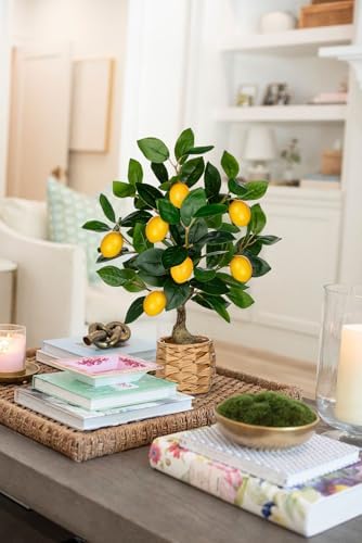 Oairse Artificial Lemon Tree 173 Inch Indoor Decor