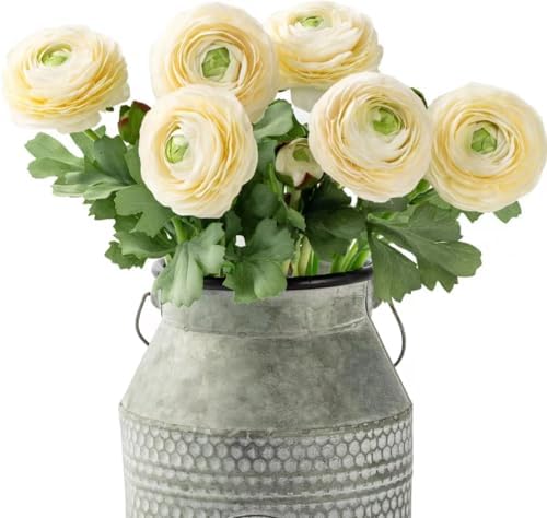 TOPIA Artificial Ranunculus Flowers 6 Pack White