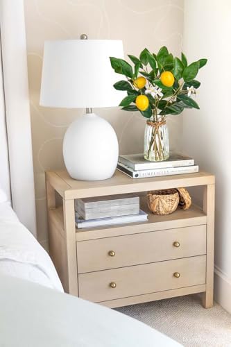 Oairse Artificial Lemon Stems in Glass Vase