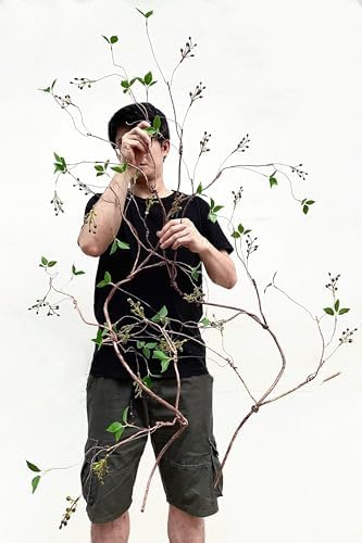 Decolival Artificial Vine with Fruits and Leaves 67 Inches Pack of 2