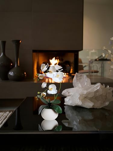Forlaoers White Real Touch Orchid Artificial Flowers with Vase
