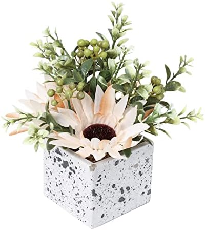 Jusdreen Artificial Flower Peony Eucalyptus Leaf Ceramic Pot Decor