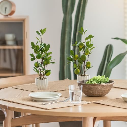 Lemon Tree Bonsai Artificial Plant Potted Decor