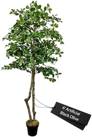 Cypress Alabaster 6ft Italian Black Olive Leaf Artificial Tree with Real Wood Trunk