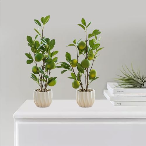 Lemon Tree Bonsai Artificial Plant Potted Decor