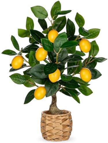 Oairse Artificial Lemon Tree 173 Inch Indoor Decor