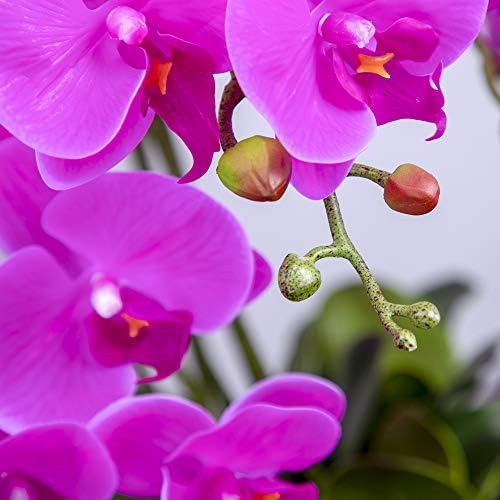Fnize Artificial Orchid Stems with 9 Large Petals 38 Inches 2pcs Rose Red