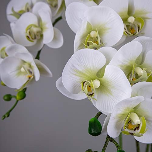Fnize Faux Orchid Stems Artificial Phalaenopsis Flowers 38 Inches 2pcs Green White