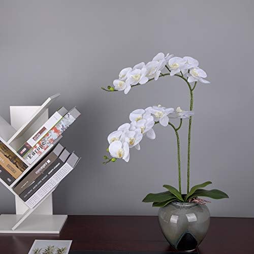 Fnize Artificial Orchid Real Touch 38 Inches 2pcs White