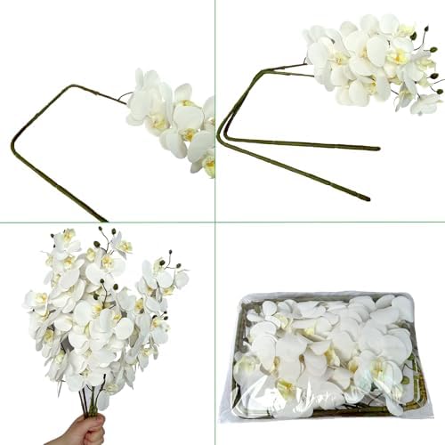 FagusHome 32 Inch Artificial Orchid Flowers 6 Pcs