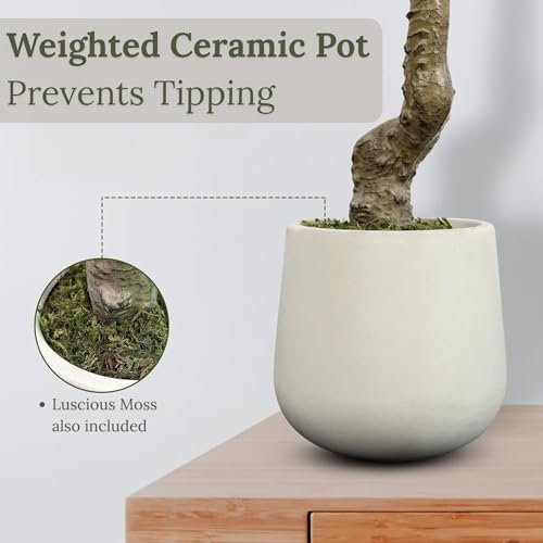 7FT Artificial Olive Tree with White Planter