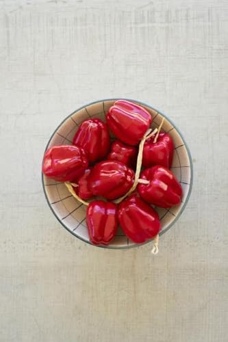 First of a Kind Artificial Red Bell Pepper String - Set of 4