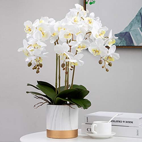 FagusHome 32 Inch Artificial Orchid Flowers 6 Pcs