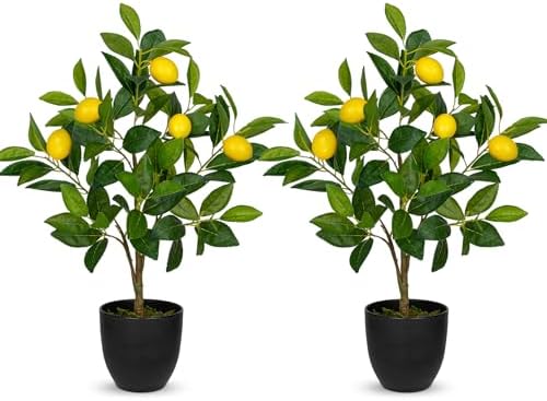 2Ft Artificial Lemon Trees 2 Pack Indoor with Black Pots