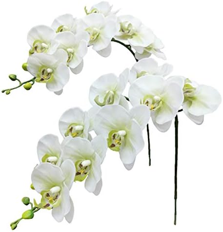 Fnize Faux Orchid Stems Artificial Phalaenopsis Flowers 38 Inches 2pcs Green White