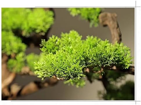 Artificial Bonsai Tree Gray Living Room Decor