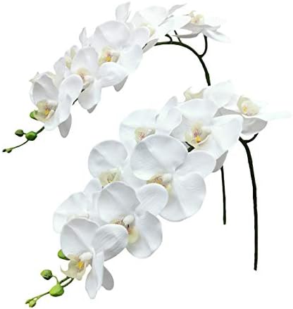 Fnize Artificial Orchid Real Touch 38 Inches 2pcs White