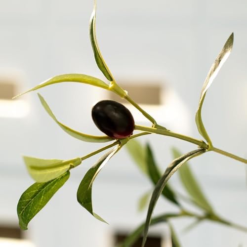 Olive Tree Artificial 4FT with Realistic Leaves and Fruits in Pot