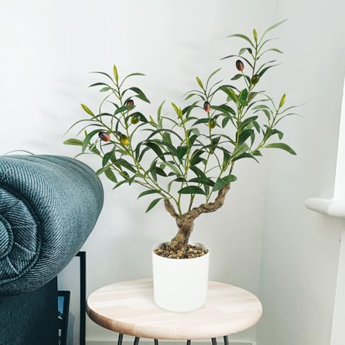 Fake Olive Plants 2FT Artificial Indoor Decor Tree