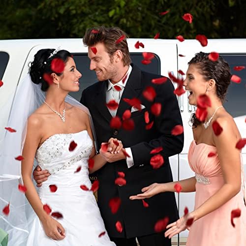 400 PCS Silk Red Rose Petals for Romantic Decor