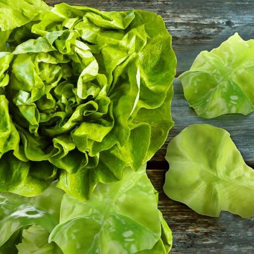 Giegxin 30 Pcs Realistic Artificial Lettuce Leaves