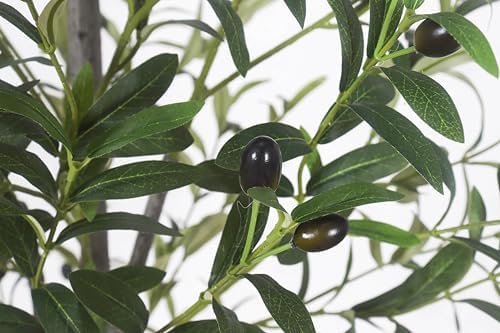 Artificial Olive Tree 6FT Tall with White Pot