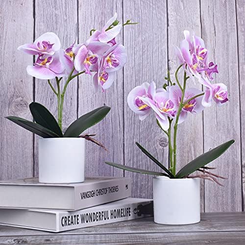 XONOR Artificial Orchid Flowers Potted with Plastic Vase