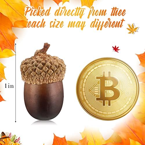 Syhood 300 Piece Artificial Acorn Decor Set