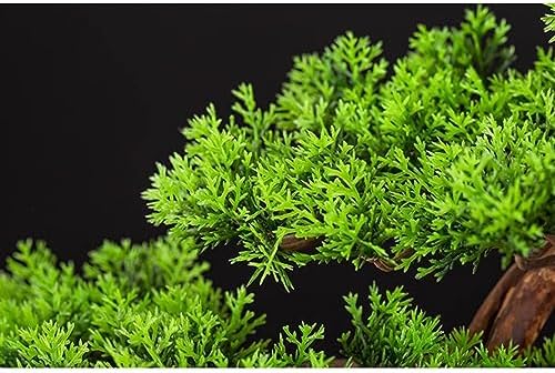 FAFACAI Artificial Bonsai Tree Gray