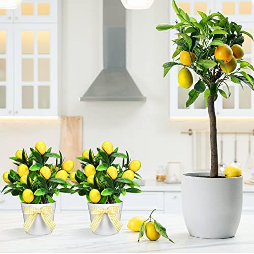 Jexine 3 Pack Lemon Tiered Tray Decor Set