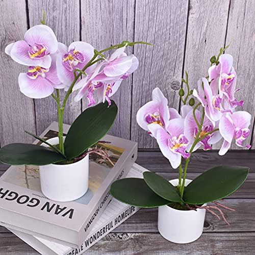 XONOR Artificial Orchid Flowers Potted with Plastic Vase
