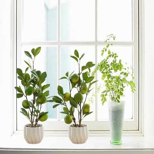 Lemon Tree Bonsai Artificial Plant Potted Decor