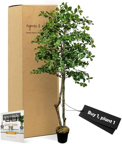 Cypress Alabaster 6ft Italian Black Olive Leaf Artificial Tree with Real Wood Trunk