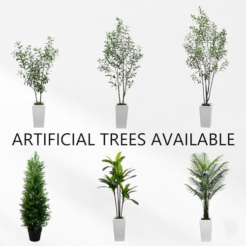 7FT Artificial Olive Tree with Dried Moss and White Pot
