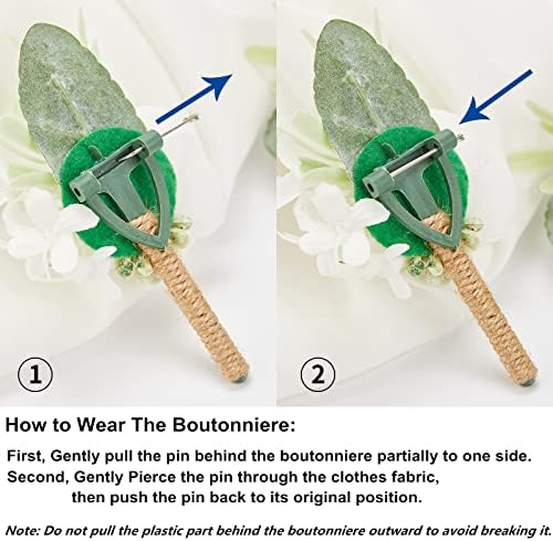 Meldel Champagne Boutonniere Set of 6 for Groom Best Man