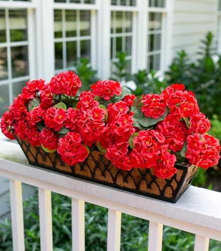 HyeFlora Artificial Geraniums for Outdoor Decoration