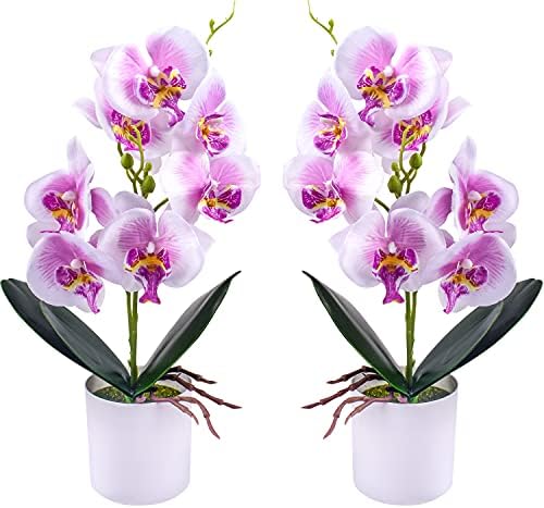 XONOR Artificial Orchid Flowers Potted with Plastic Vase