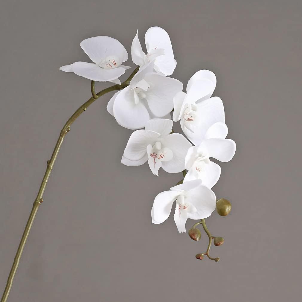 Duyone Artificial Orchid Set 35 Inch 4 Pcs Real Touch
