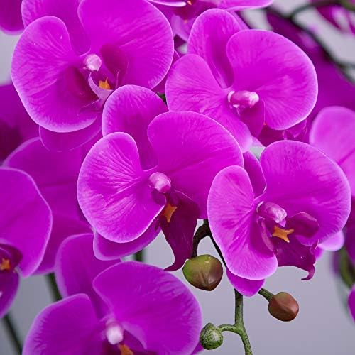 Fnize Artificial Orchid Stems with 9 Large Petals 38 Inches 2pcs Rose Red