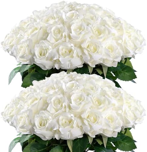 YXZZWL 60 Pcs Artificial Roses White Realistic