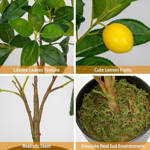 2Ft Artificial Lemon Trees 2 Pack Indoor with Black Pots