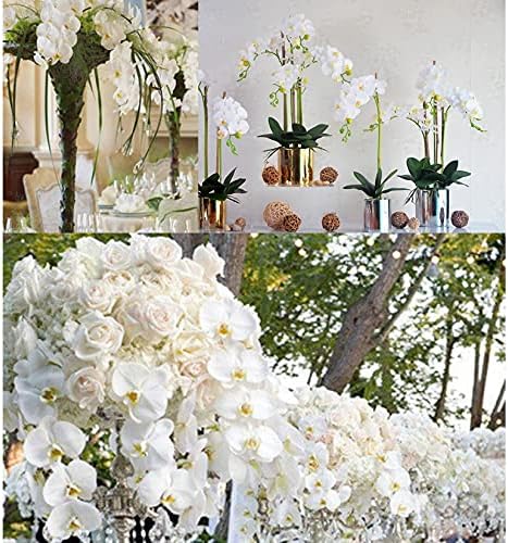 FagusHome 32 Inch Artificial Orchid Flowers 6 Pcs