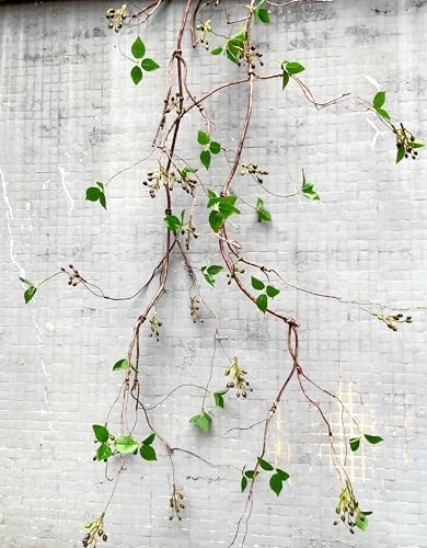 Decolival Artificial Vine with Fruits and Leaves 67 Inches Pack of 2