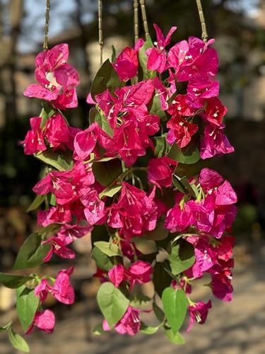 INSUNSIX 12PCS Long Stem Pink Artificial Bougainvillea Flowers